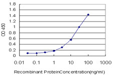 TSC22D4 Antibody in ELISA (ELISA)