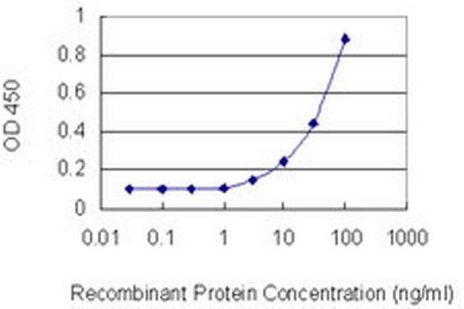 PIK3AP1 Antibody in ELISA (ELISA)