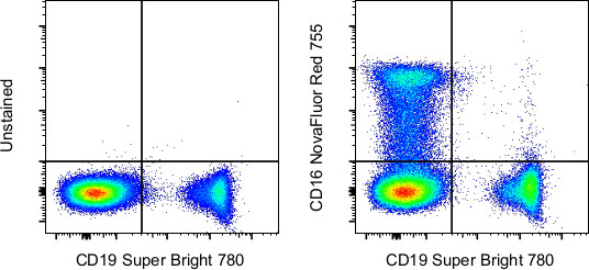 CD16 Antibody in Flow Cytometry (Flow)