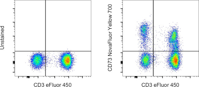 CD73 Antibody in Flow Cytometry (Flow)