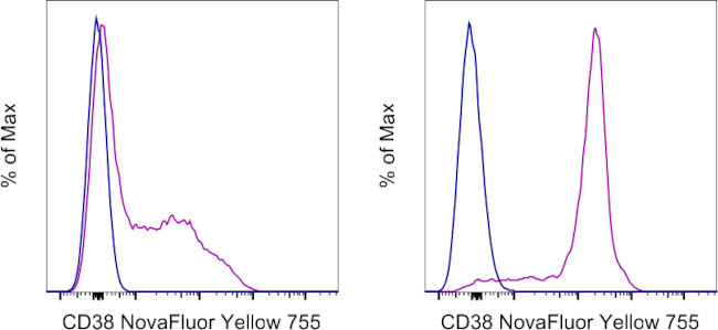 CD38 Antibody in Flow Cytometry (Flow)