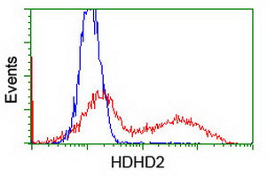 HDHD2 Antibody in Flow Cytometry (Flow)