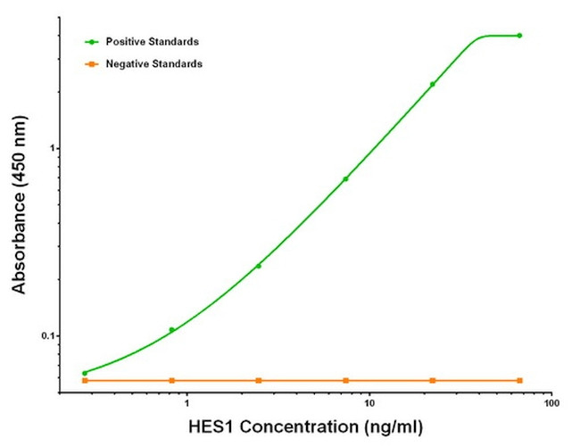 HES1 Antibody in ELISA (ELISA)