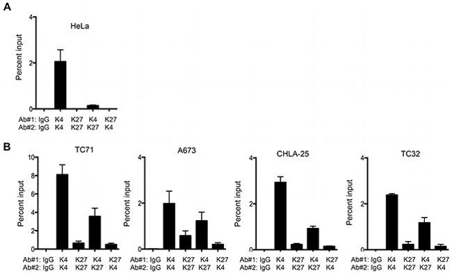 H3K4me3 Antibody in ChIP Assay (ChIP)