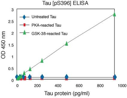 Human Tau (Phospho) [pS396] ELISA Kit