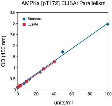 Human AMPK alpha-1,2 (Phospho) [pT172] ELISA Kit