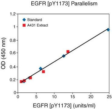 Human EGFR (Phospho) [pY1173] ELISA Kit