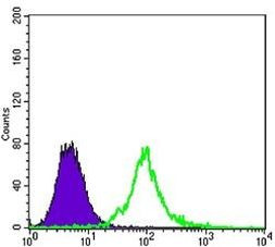 KLHL13 Antibody in Flow Cytometry (Flow)