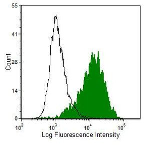 LAMP2 Antibody in Flow Cytometry (Flow)