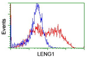 LENG1 Antibody in Flow Cytometry (Flow)