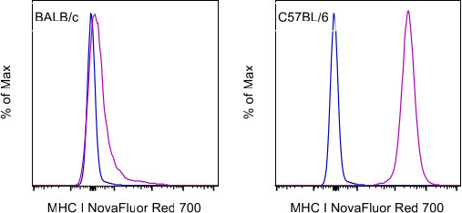 MHC Class I (H-2Kb) Antibody in Flow Cytometry (Flow)