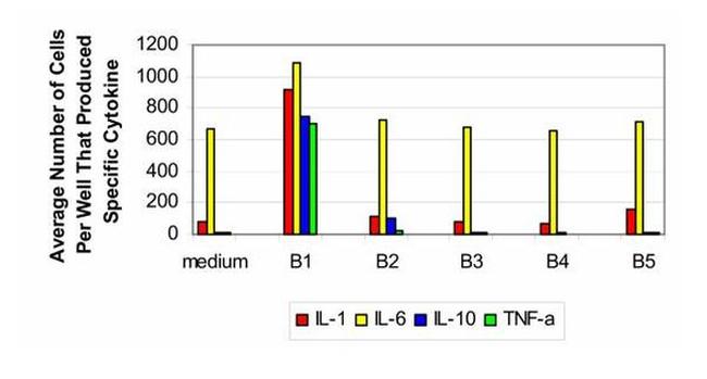 IL-1 beta Antibody in ELISA (ELISA)