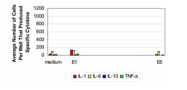 IL-1 beta Antibody in ELISA (ELISA)