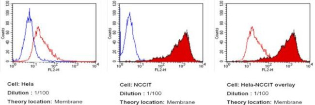 TRA-1-60 Antibody in Flow Cytometry (Flow)