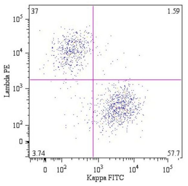 Human Lambda Light Chain Secondary Antibody in Flow Cytometry (Flow)