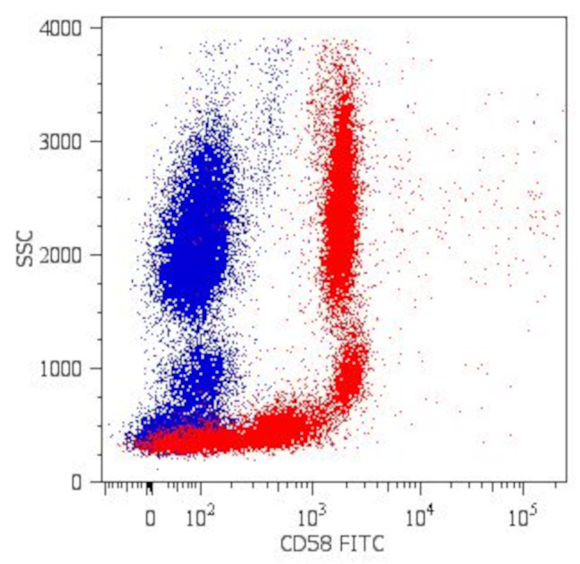 CD58 Antibody in Flow Cytometry (Flow)