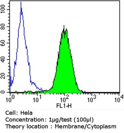 PDI Antibody in Flow Cytometry (Flow)