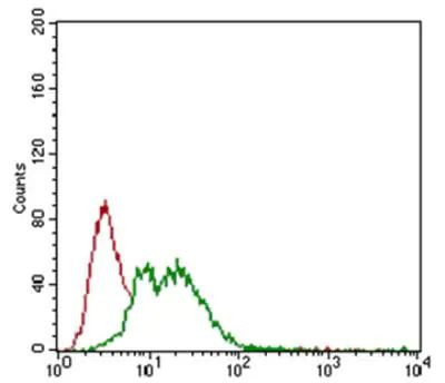 Fibrillarin Antibody in Flow Cytometry (Flow)