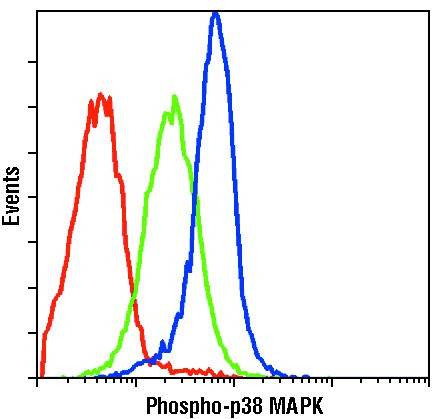 Phospho-p38 MAPK (Thr180, Tyr182) Antibody in Flow Cytometry (Flow)