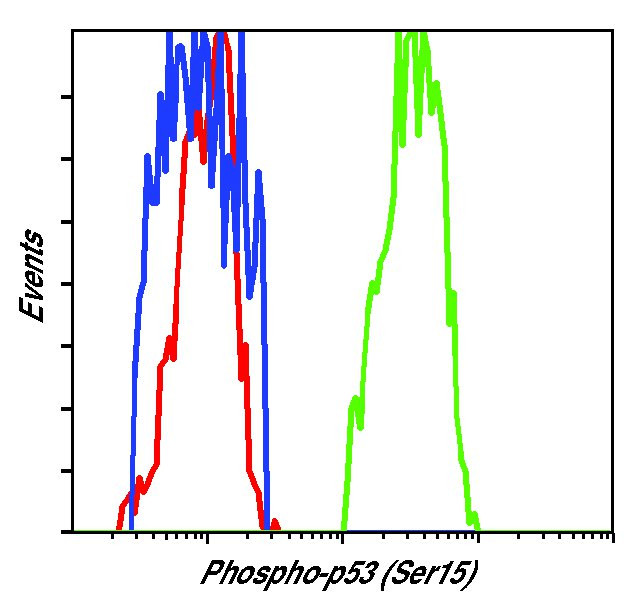 Phospho-p53 (Ser15) Antibody in Flow Cytometry (Flow)