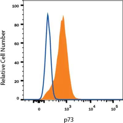 p73 Antibody in Flow Cytometry (Flow)