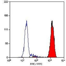 Ly-6B.2 Antibody in Flow Cytometry (Flow)