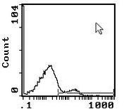 TCR beta Antibody in Flow Cytometry (Flow)