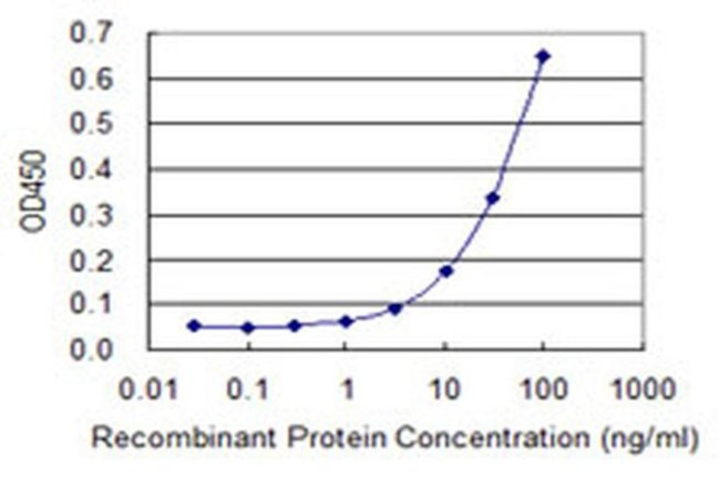 C20orf10 Antibody in ELISA (ELISA)