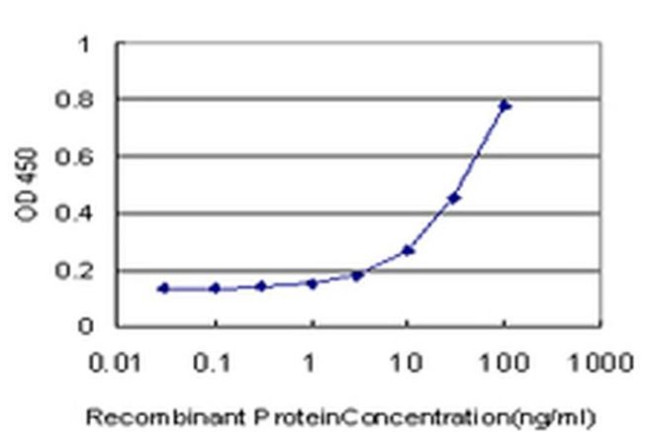 HSFX1 Antibody in ELISA (ELISA)