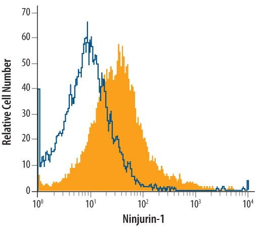 Ninjurin 1 Antibody in Flow Cytometry (Flow)