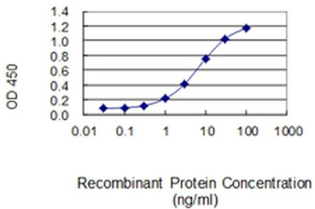 AHSA2 Antibody in ELISA (ELISA)