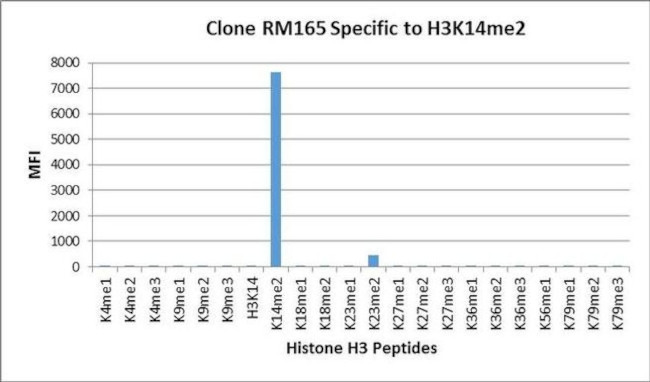 H3K14me2 Antibody in Luminex (LUM)