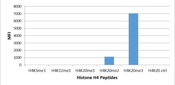 H4K20me3 Antibody in Luminex (LUM)