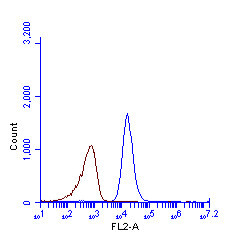 SQSTM1 Antibody in Flow Cytometry (Flow)