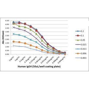 Human IgG4 Secondary Antibody in ELISA (ELISA)