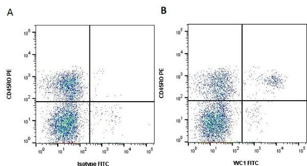 WC1 Antibody in Flow Cytometry (Flow)