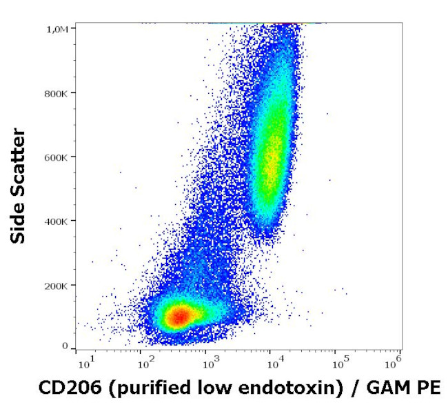 CD206 (MMR) Monoclonal Antibody (15-2) (MA5-28581)