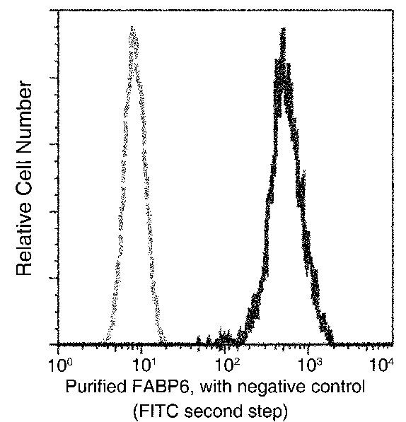 FABP6 Antibody in Flow Cytometry (Flow)
