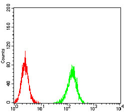 ADAMTS1 Antibody in Flow Cytometry (Flow)