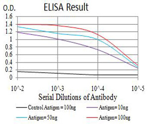 CHRNA3 Antibody in ELISA (ELISA)