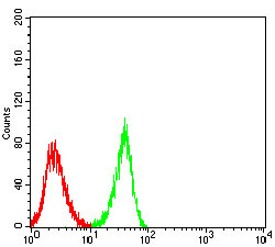 CHRNA3 Antibody in Flow Cytometry (Flow)