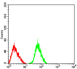 CHRNA3 Antibody in Flow Cytometry (Flow)