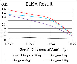 ZIPK Antibody in ELISA (ELISA)
