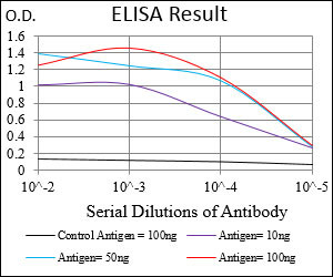 EIF2A Antibody in ELISA (ELISA)
