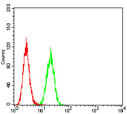 GLRB Antibody in Flow Cytometry (Flow)