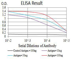 GRIK4 Antibody in ELISA (ELISA)