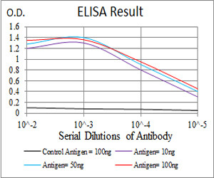 KV4.2 (KCND2) Antibody in ELISA (ELISA)