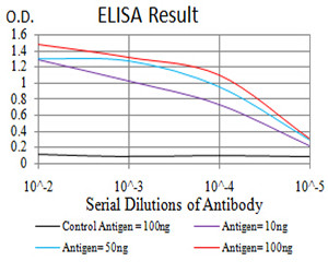 LEF1 Antibody in ELISA (ELISA)