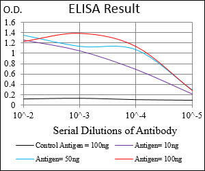 RING1 Antibody in ELISA (ELISA)