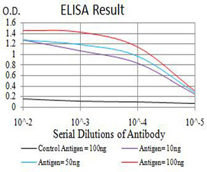 SMARCA1 Antibody in ELISA (ELISA)